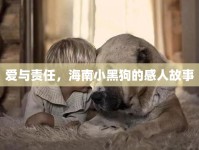 愛與責(zé)任，海南小黑狗的感人故事