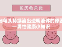 揭秘龜頭持續(xù)流出透明液體的原因——男性健康小知識