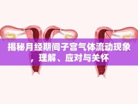 揭秘月經期間子宮氣體流動現象，理解、應對與關懷