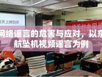 網(wǎng)絡謠言的危害與應對，以東航墜機視頻謠言為例