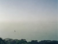 誅仙手游馴養(yǎng)屬性攻略，全面解析如何打造極品寵物