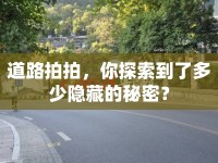 道路拍拍，你探索到了多少隱藏的秘密？