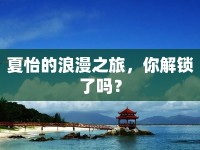 夏怡的浪漫之旅，你解鎖了嗎？