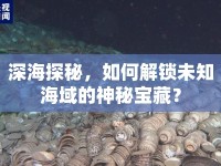 深海探秘，如何解鎖未知海域的神秘寶藏？