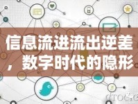 信息流進(jìn)流出逆差，數(shù)字時代的隱形挑戰(zhàn)與應(yīng)對策略