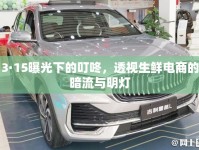 3·15曝光下的叮咚，透視生鮮電商的暗流與明燈