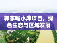 郭家嘴水庫項(xiàng)目，綠色生態(tài)與區(qū)域發(fā)展的雙贏之路最新進(jìn)展