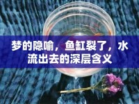 夢的隱喻，魚缸裂了，水流出去的深層含義