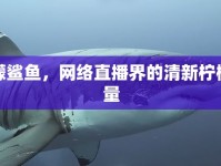 檸檬鯊魚，網(wǎng)絡(luò)直播界的清新檸檬力量