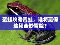 蜜蜂攻略青蛙，誰將贏得這場奇妙冒險？