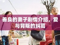 善良的妻子劇情介紹，愛與背叛的糾葛