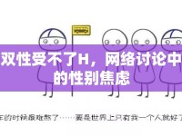 雙性受不了H，網(wǎng)絡(luò)討論中的性別焦慮