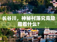 長(zhǎng)谷川，神秘村落究竟隱藏著什么？