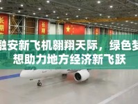 融安新飛機(jī)翱翔天際，綠色夢(mèng)想助力地方經(jīng)濟(jì)新飛躍