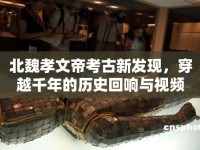 北魏孝文帝考古新發(fā)現(xiàn)，穿越千年的歷史回響與視頻揭秘