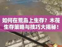如何在荒島上生存？木筏生存策略與技巧大揭秘！