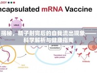 揭秘，精子射完后的自我流出現(xiàn)象——科學(xué)解析與健康指南