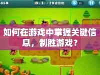 如何在游戲中掌握關鍵信息，制勝游戲？