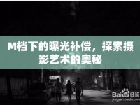 M檔下的曝光補償，探索攝影藝術(shù)的奧秘