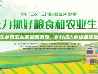 東鄉(xiāng)貢安頭條最新消息，鄉(xiāng)村振興的綠色脈動