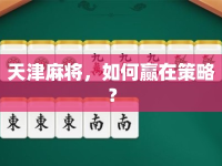 天津麻將，如何贏在策略？