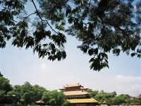 夢幻手游109魔王如何打造極致輸出與生存能力？