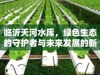臨沂天河水庫，綠色生態(tài)的守護者與未來發(fā)展的新引擎