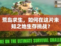 荒島求生，如何在這片未知之地生存挑戰(zhàn)？