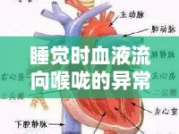 睡覺時血液流向喉嚨的異?，F(xiàn)象
