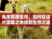 兔羊草原生存，如何在這片溫馨之地找到生存之道？