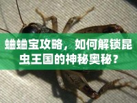 蛐蛐寶攻略，如何解鎖昆蟲王國的神秘奧秘？