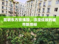 昆明東方玫瑰園，浪漫綻放的城市新地標(biāo)