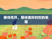 靜待花開(kāi)，期待美好時(shí)刻的來(lái)臨