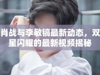 肖戰(zhàn)與李敏鎬最新動態(tài)，雙星閃耀的最新視頻揭秘