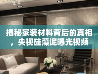 揭秘家裝材料背后的真相，央視硅藻泥曝光視頻