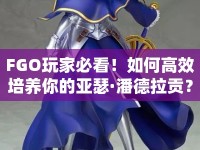FGO玩家必看！如何高效培養(yǎng)你的亞瑟·潘德拉貢？