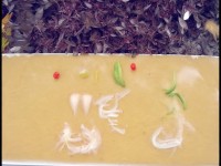夢(mèng)幻手游隱攻鬼子，如何玩轉(zhuǎn)策略與技巧？
