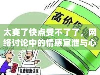 太爽了快點受不了了，網(wǎng)絡(luò)討論中的情感宣泄與心理機制