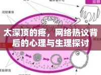 太深頂?shù)奶?，網(wǎng)絡(luò)熱議背后的心理與生理探討