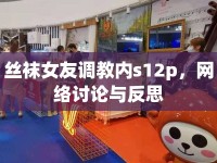 絲襪女友調(diào)教內(nèi)s12p，網(wǎng)絡討論與反思