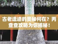 古老遺跡的奧秘何在？丙查查攻略為你揭秘！