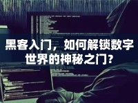 黑客入門，如何解鎖數(shù)字世界的神秘之門？