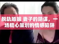 脫軌婚姻 妻子的陰謀，一場(chǎng)精心策劃的情感陷阱