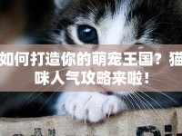 如何打造你的萌寵王國？貓咪人氣攻略來啦！