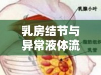 乳房結(jié)節(jié)與異常液體流出，了解癥狀，及早應(yīng)對