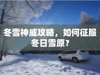 冬雪神威攻略，如何征服冬日雪原？
