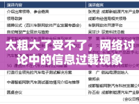 太粗大了受不了，網(wǎng)絡(luò)討論中的信息過載現(xiàn)象