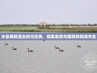 水自廊橋流出的元任務(wù)，探索自然與建筑的和諧共生