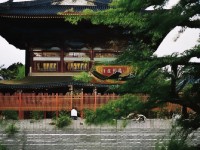 這款高度自由的仙俠手游，真的能讓你御劍乘風(fēng)、快意江湖嗎？