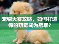 寵物大賽攻略，如何打造你的萌寵成為冠軍？